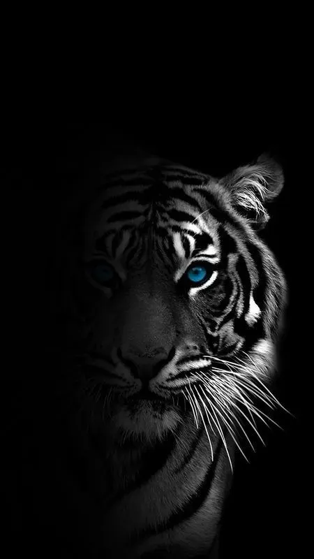 링크모음 안전 접속