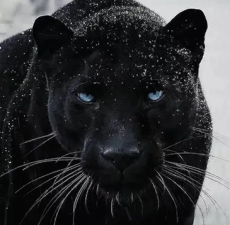 자주 묻는 질문 FAQ