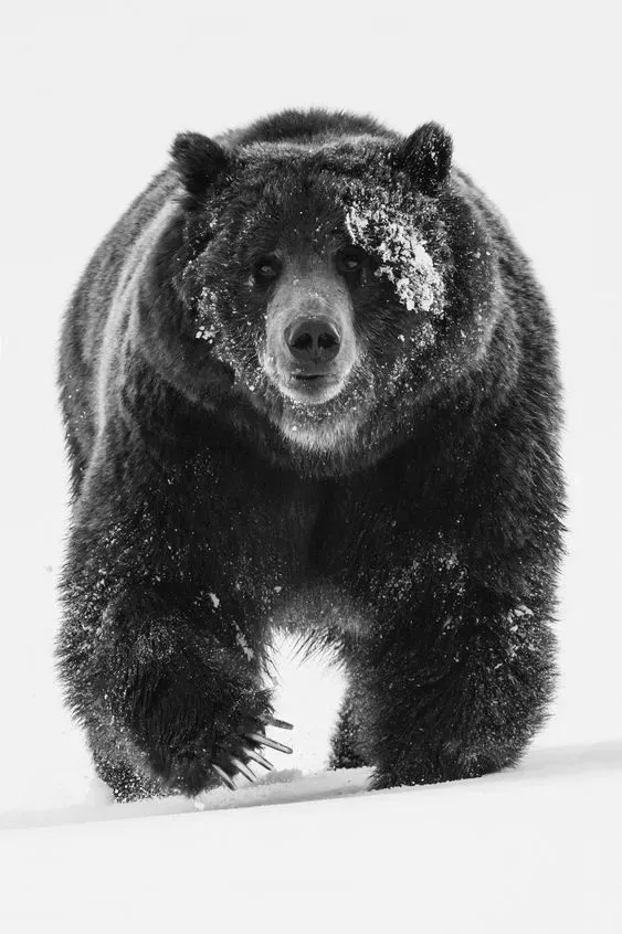 주소가이드 자주 묻는 질문