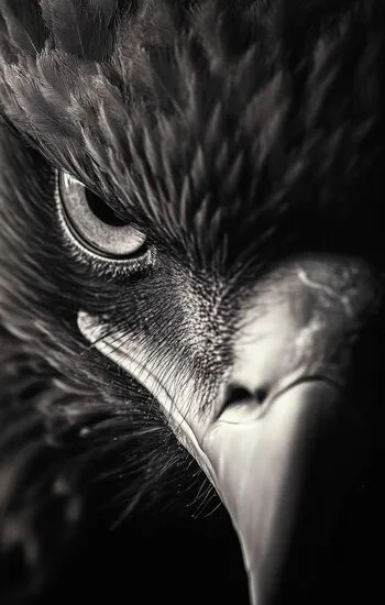 주소아트 안전 접속