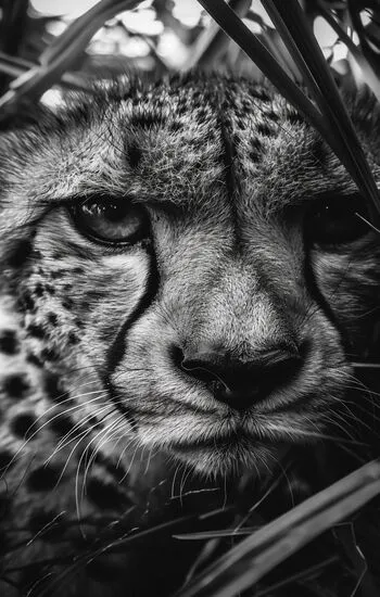 주소킹 안전 접속